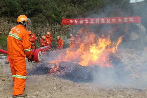 提高防火意识 干群实战演练