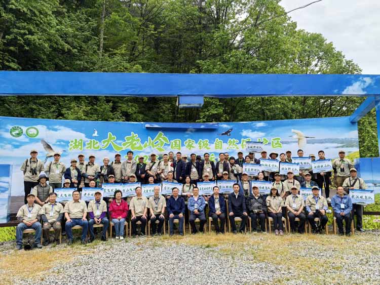 湖北大老岭2025年观鸟盛会启幕：以羽为媒共筑生